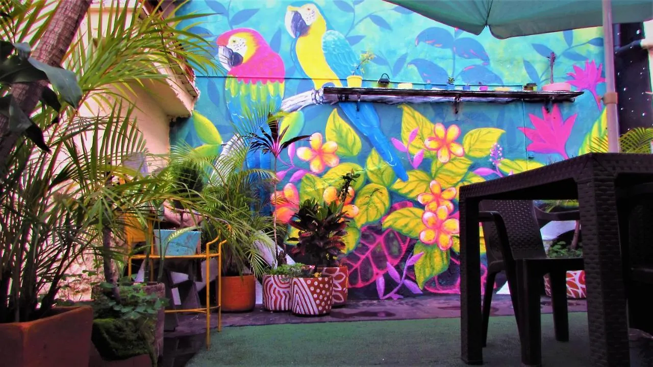 Medallo Social Hostal Medellín 0*,  Colombia